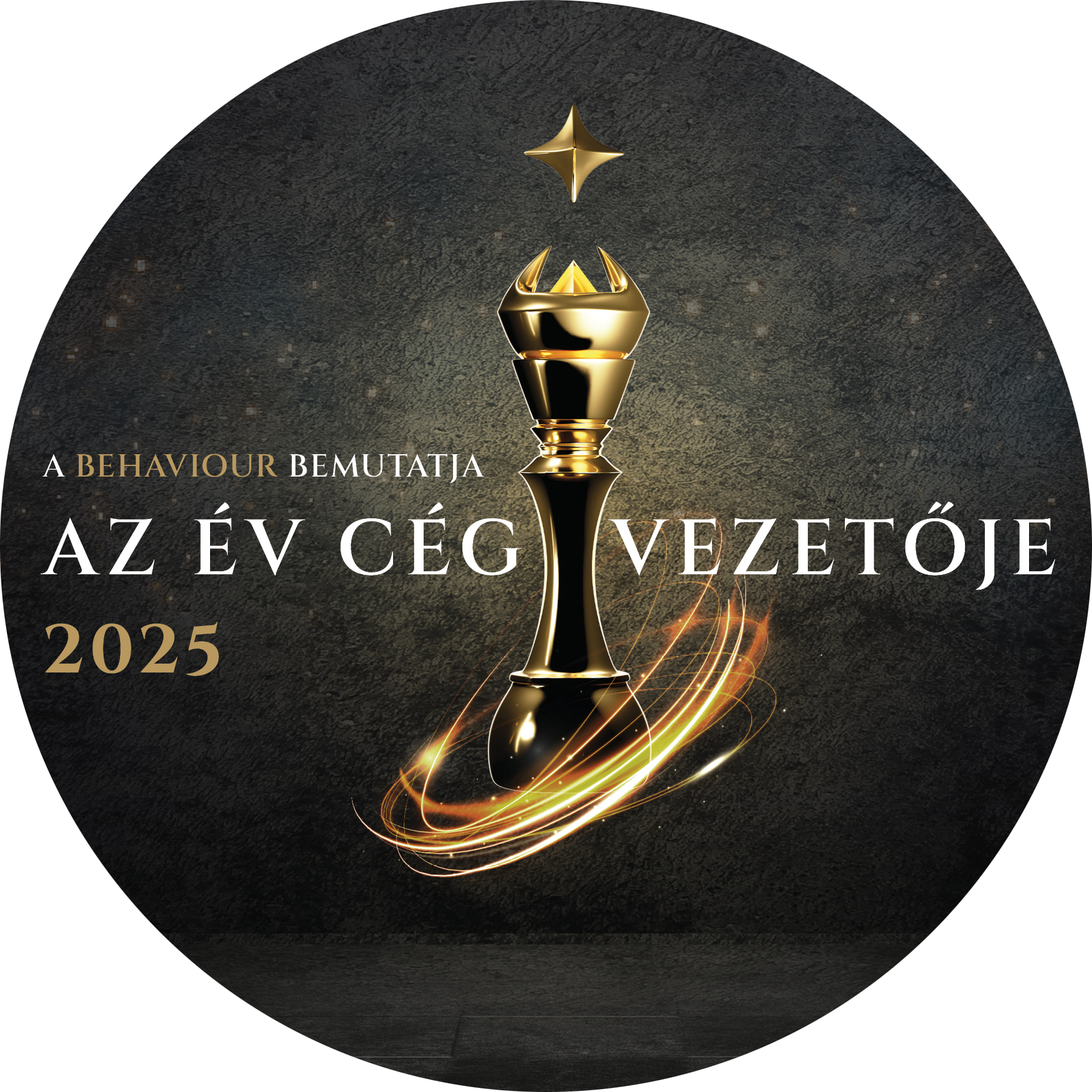 Premiul Directorul Anului